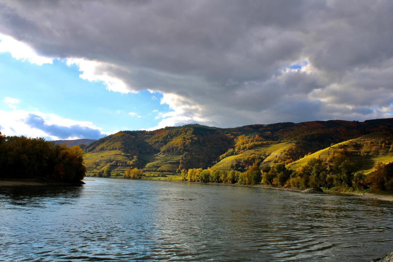Апартаменти Haus-Donau In Der Wachau Aggsbach Екстер'єр фото